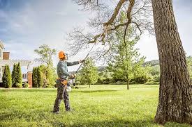 Best Organic Lawn Care Solutions  in Verdigris, OK