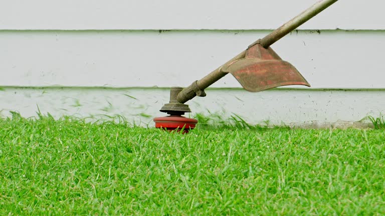Soil Testing and Treatment in Verdigris, OK