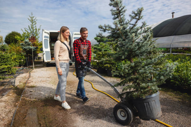 Best Arborist Consultation Services  in Verdigris, OK